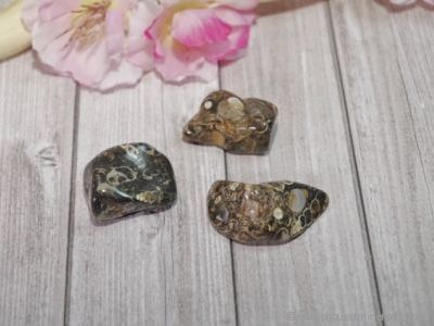 3 Galets Agate Fossile