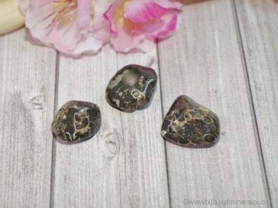 3 Galets Agate Fossile